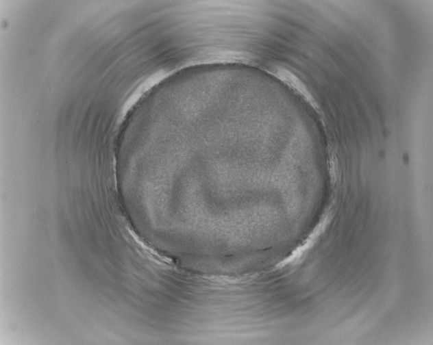 X0000070420781200607072333