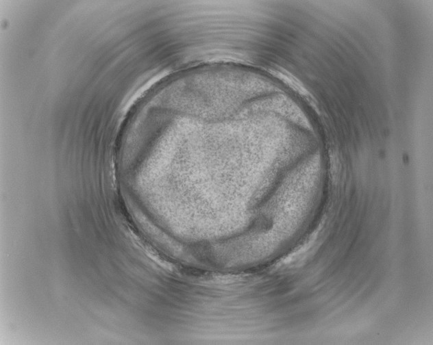 X0000070420782200607072333