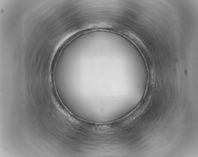 X0000070420784200607072333