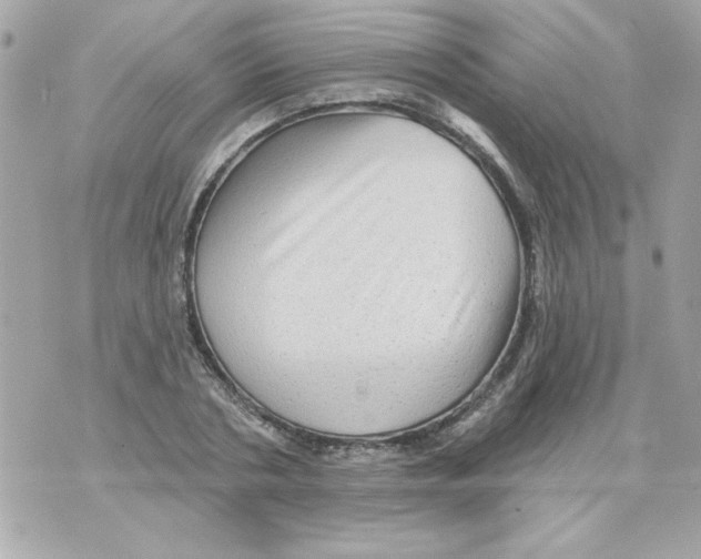 X0000070420786200607072333