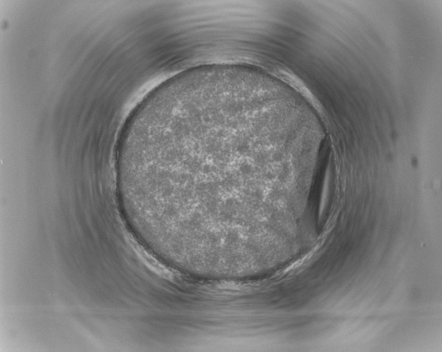 X0000070420787200607072333