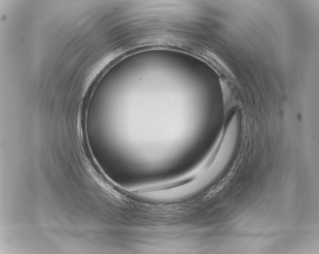 X0000070420788200607072333