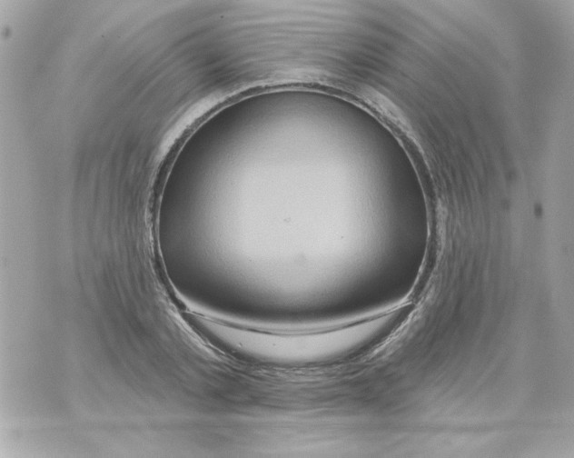 X0000070420789200607072333