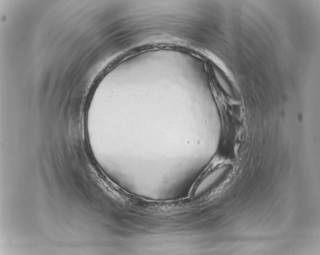 X0000070420791200607072333