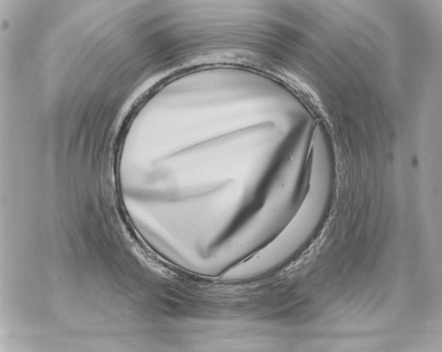 X0000070420792200607072333