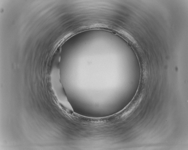 X0000070420793200607072333