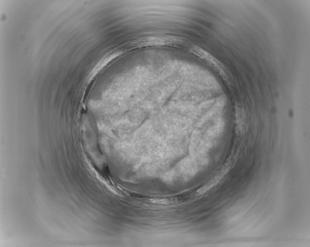 X0000070420794200607072333