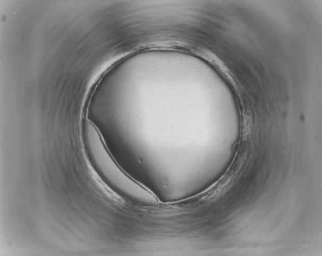 X0000070420795200607072333