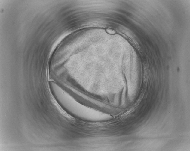 X0000070420796200607072333