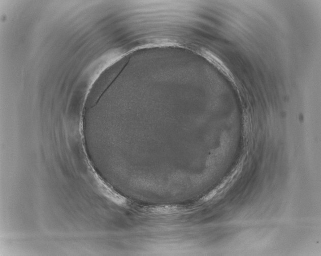 X0000070420797200607072333