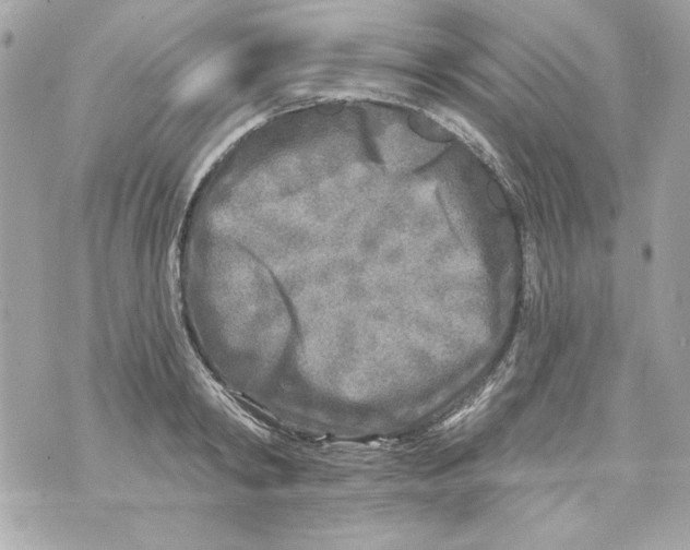 X0000070420798200607072333