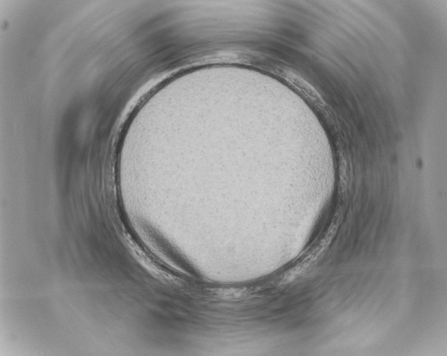 X0000070420800200607072333