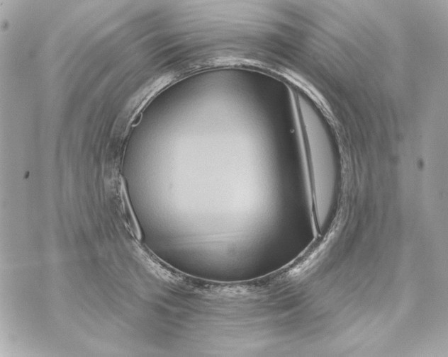 X0000070420801200607072333