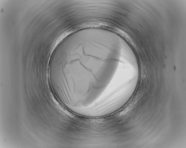 X0000070420802200607072333