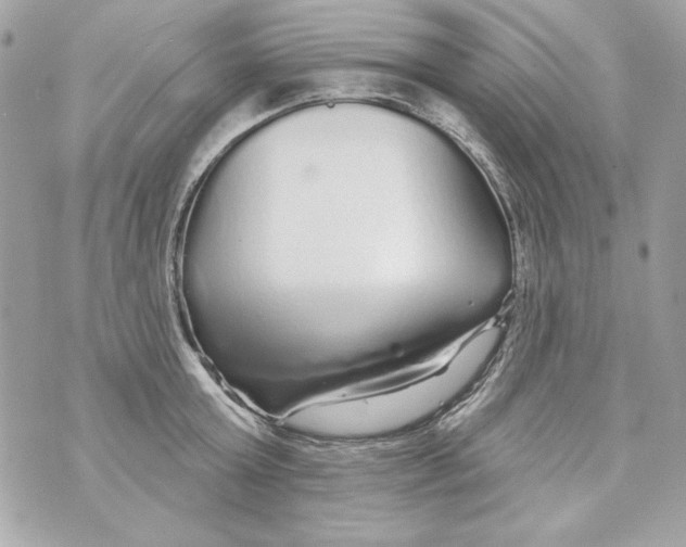 X0000070420803200607072333