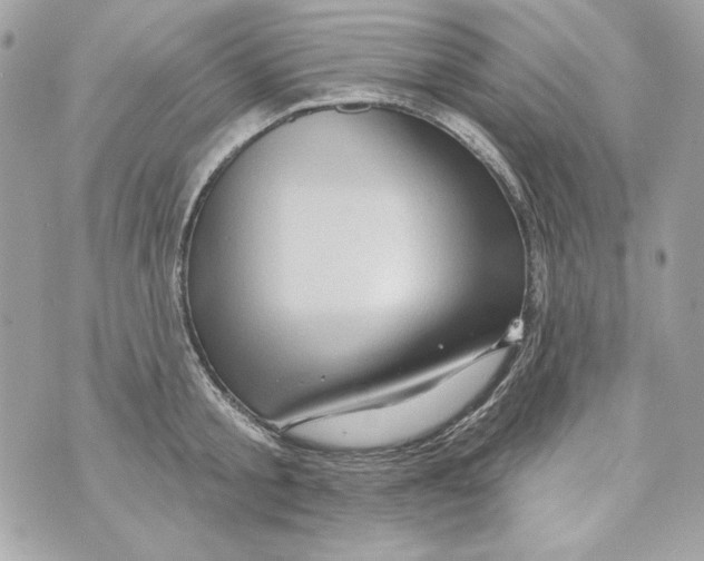 X0000070420805200607072333