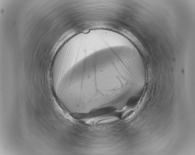 X0000070420806200607072333