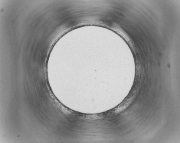 X0000070420807200607072333