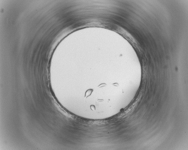 X0000070420808200607072333