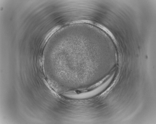 X0000070420809200607072333