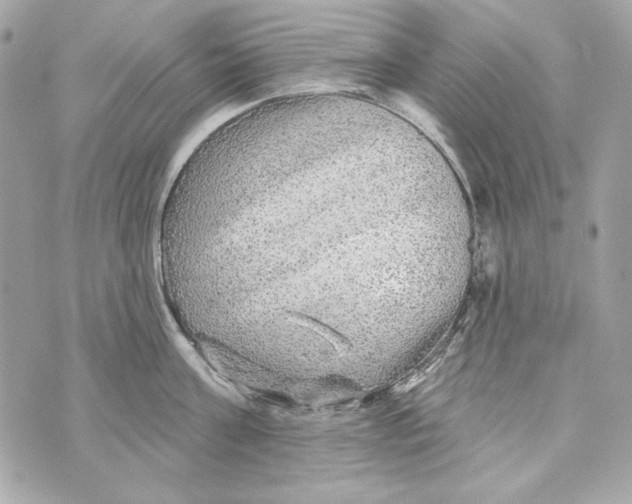 X0000070420811200607072333