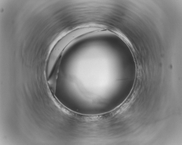 X0000070420813200607072333