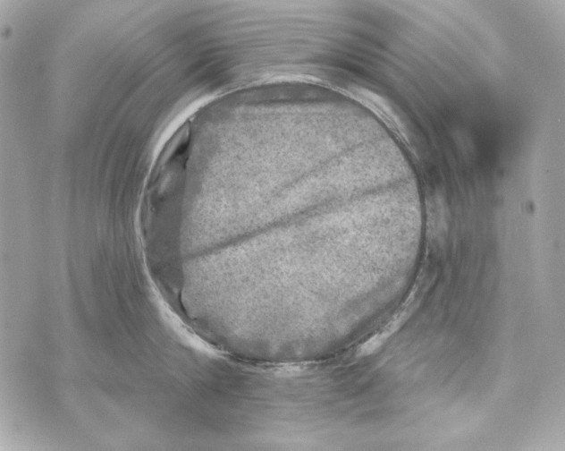 X0000070420814200607072333