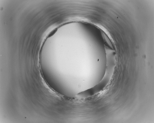 X0000070420815200607072333