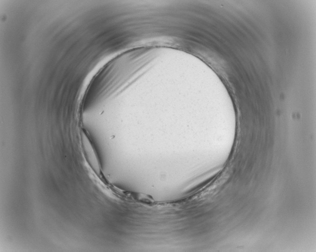 X0000070420816200607072333