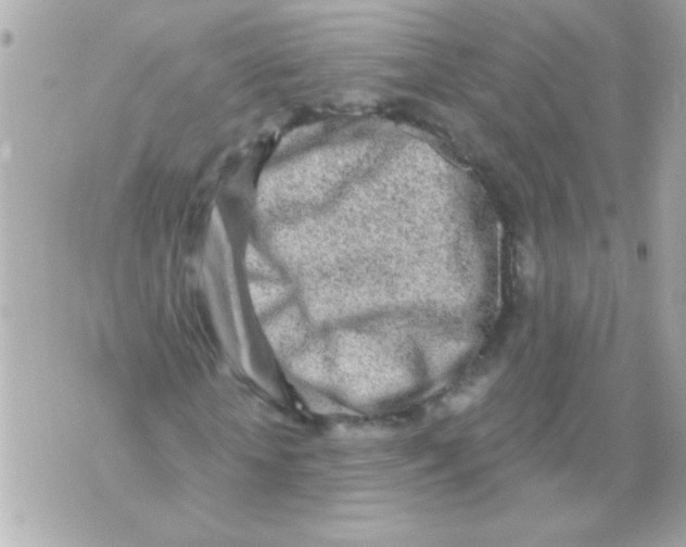 X0000070420818200607072332