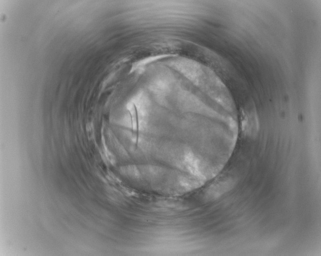 X0000070420819200607072332