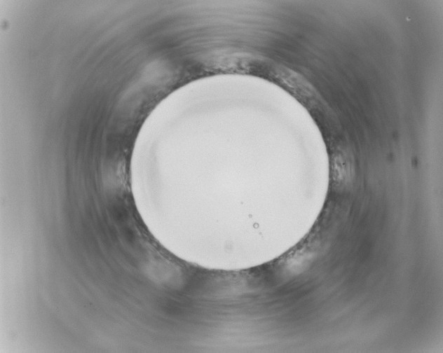 X0000070420820200607072332