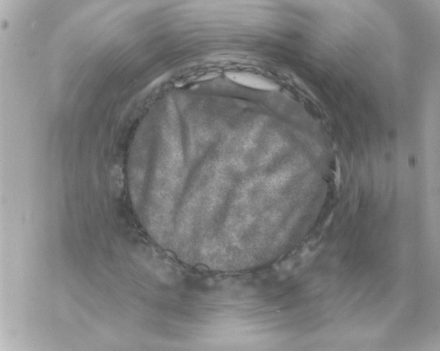 X0000070420821200607072332