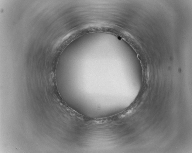 X0000070420822200607072332