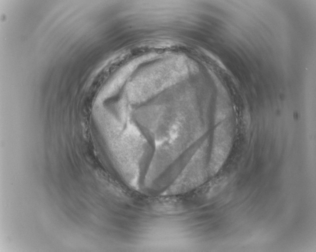 X0000070420823200607072332