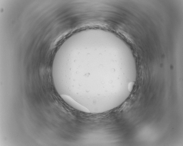 X0000070420824200607072332