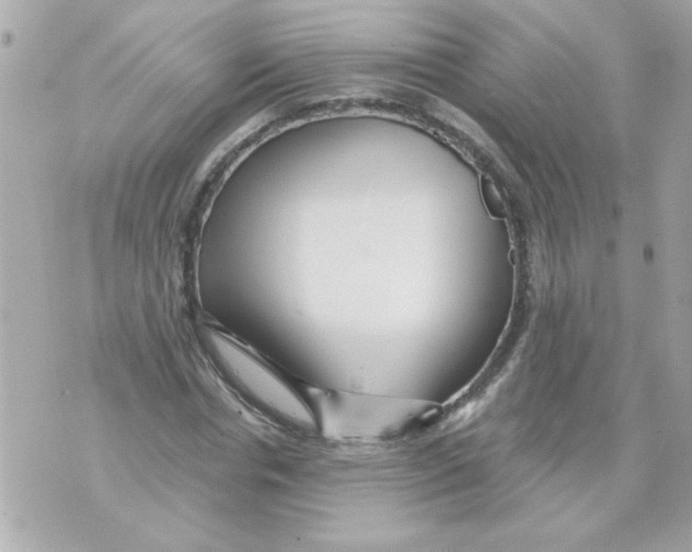 X0000070420826200607072332