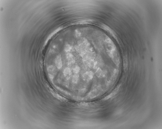 X0000070420827200607072332