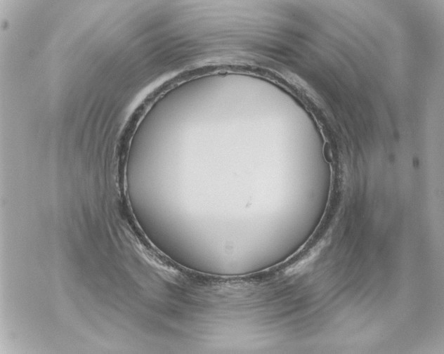 X0000070420830200607072332