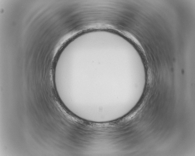 X0000070420831200607072332