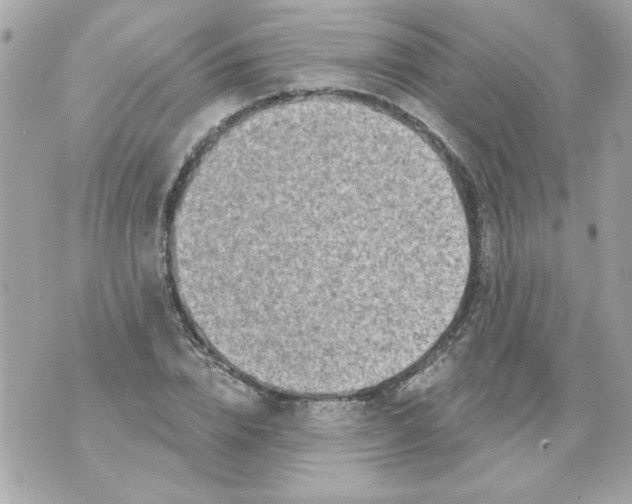 X0000070420832200607072332