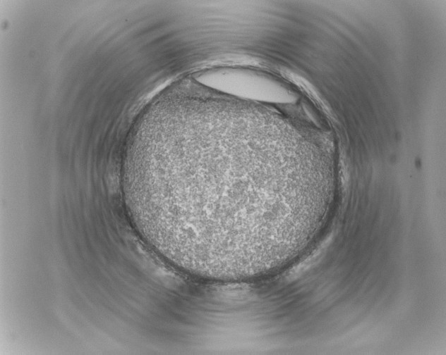 X0000070420833200607072332