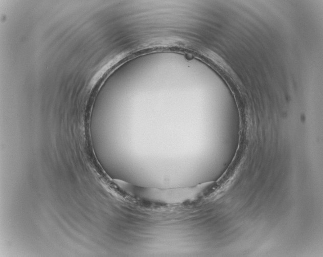 X0000070420834200607072332