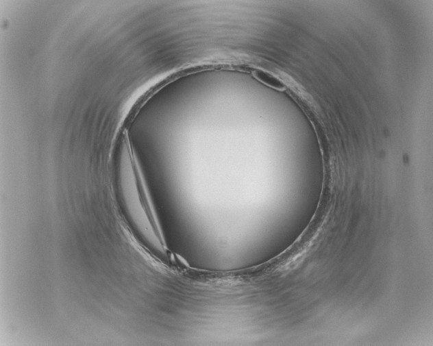 X0000070420838200607072332