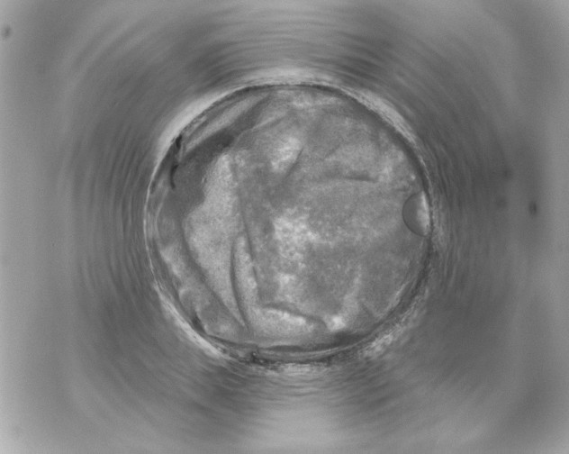 X0000070420839200607072332