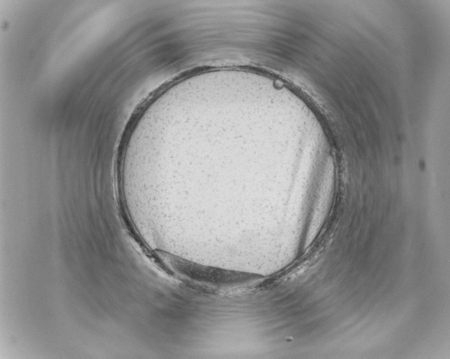 X0000070420840200607072332