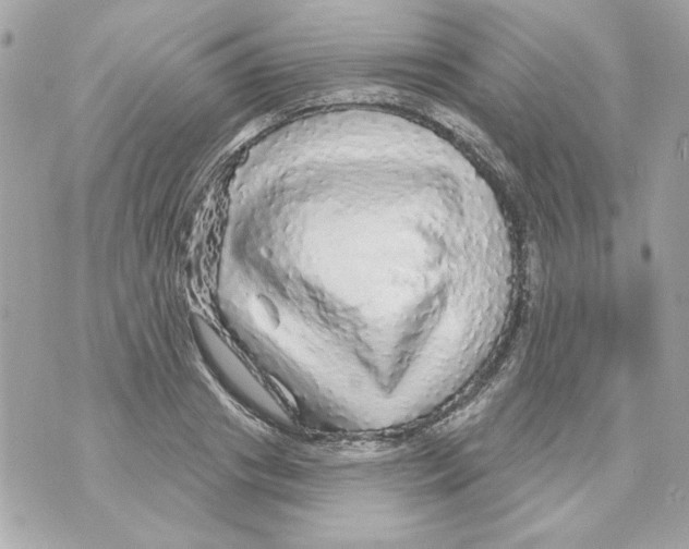 X0000070420841200607072332