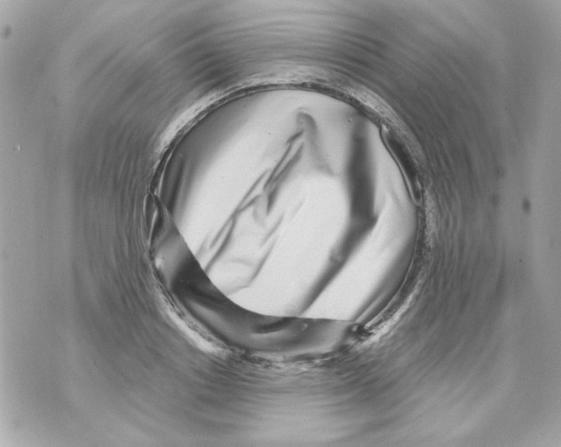 X0000070420842200607072332