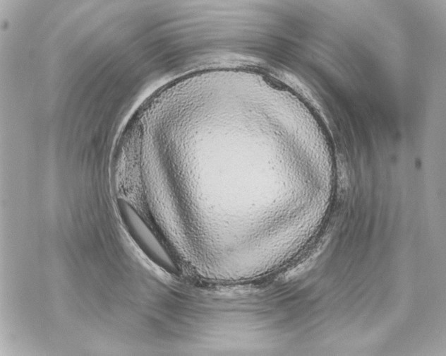 X0000070420843200607072332