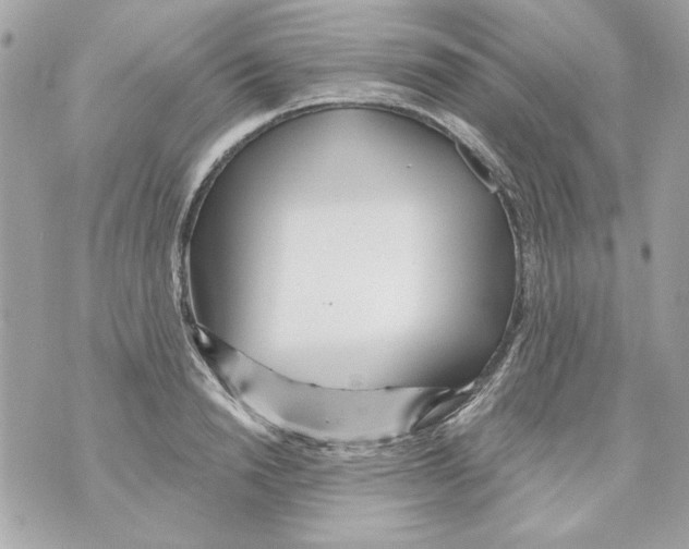 X0000070420846200607072332